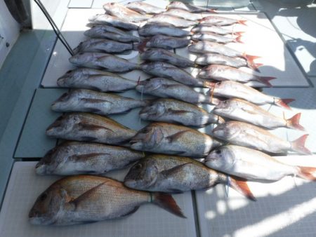 遊漁船 幸友丸 釣果