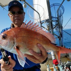 遊漁船　ニライカナイ 釣果