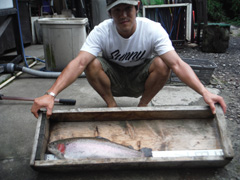 すそのフィッシングパーク 釣果