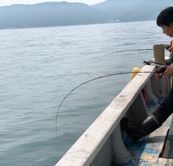 幸吉丸 釣果