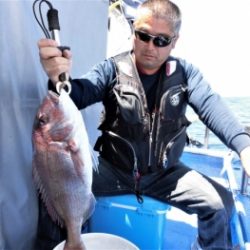 鯛紅丸 釣果