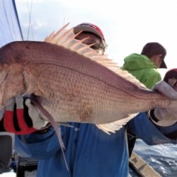 鯛紅丸 釣果