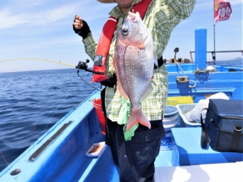 鯛紅丸 釣果