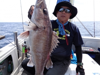 鯛紅丸 釣果