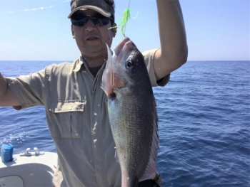 鯛紅丸 釣果