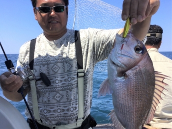 鯛紅丸 釣果