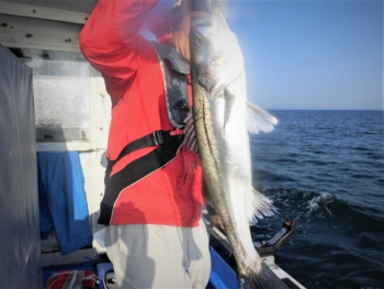 鯛紅丸 釣果