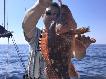 鯛紅丸 釣果