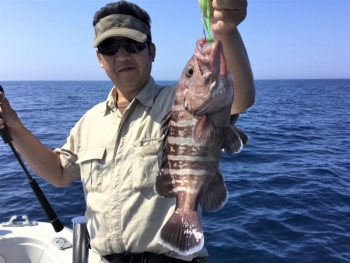 鯛紅丸 釣果