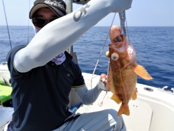鯛紅丸 釣果