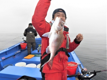 鯛紅丸 釣果
