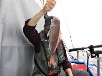 鯛紅丸 釣果