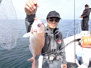 鯛紅丸 釣果