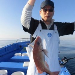 鯛紅丸 釣果