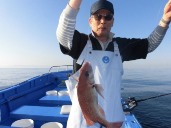 鯛紅丸 釣果