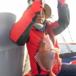 鯛紅丸 釣果