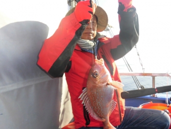 鯛紅丸 釣果