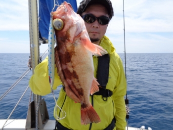 鯛紅丸 釣果