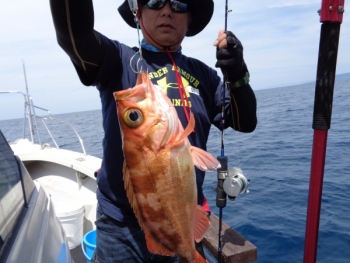 鯛紅丸 釣果