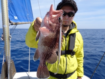 鯛紅丸 釣果
