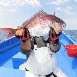 鯛紅丸 釣果