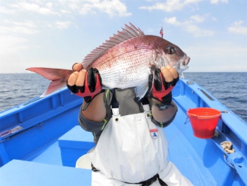 鯛紅丸 釣果