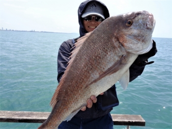 鯛紅丸 釣果