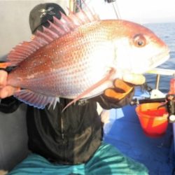 鯛紅丸 釣果