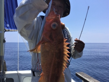 鯛紅丸 釣果