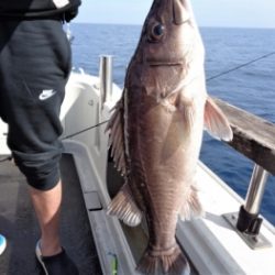 鯛紅丸 釣果