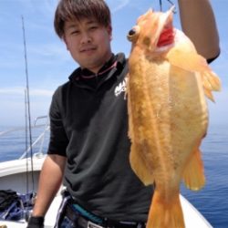 鯛紅丸 釣果