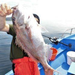 鯛紅丸 釣果