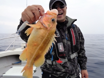鯛紅丸 釣果