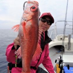 鯛紅丸 釣果