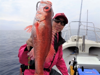 鯛紅丸 釣果
