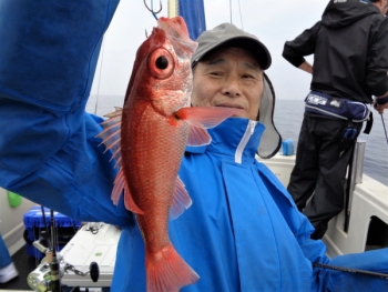 鯛紅丸 釣果