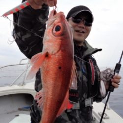 鯛紅丸 釣果