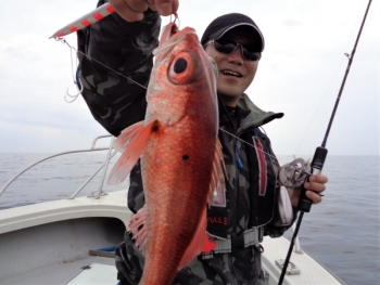 鯛紅丸 釣果