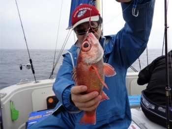 鯛紅丸 釣果