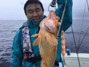 鯛紅丸 釣果