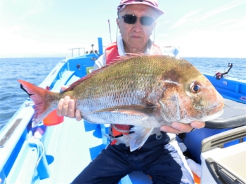 鯛紅丸 釣果