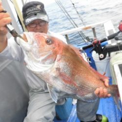 鯛紅丸 釣果