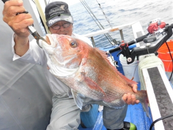 鯛紅丸 釣果