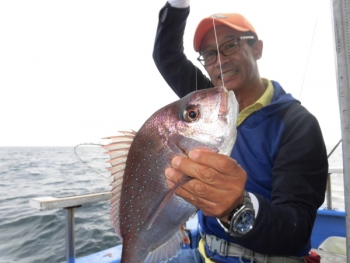 鯛紅丸 釣果