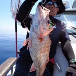 鯛紅丸 釣果