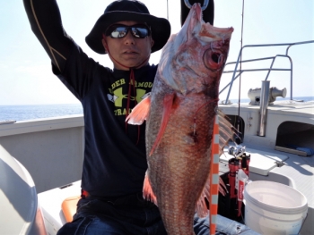 鯛紅丸 釣果