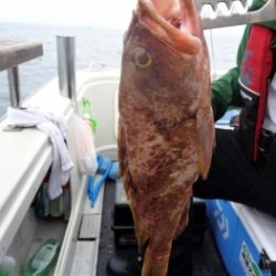 鯛紅丸 釣果