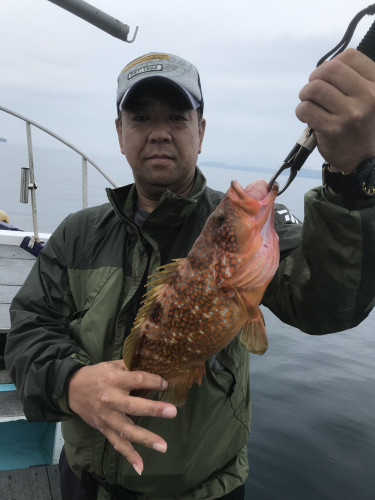 釣船 浦島太郎 釣果