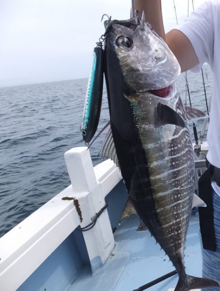 Hit Rush(ヒット ラッシュ） 釣果…