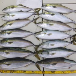 Hit Rush(ヒット ラッシュ) 釣果